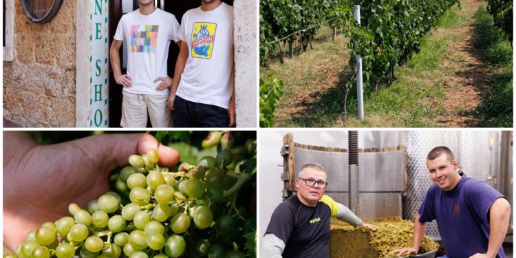 Slobodna Dalmacija – Antonio, Frane i Jure nisu poput svojih vršnjaka, oni slijede stope svojih očeva i mukotrpno rade: ‘To je ljubav u čaši’