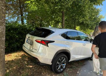 Slobodna Dalmacija – FOTO Sinj je pred pucanjem! Automobili su već zakrčili grad, pogledajte kako se dijaspora parkira