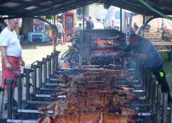 Slobodna Dalmacija – U Sinju se zavrtilo stotine odojaka i janjaca, evo pošto kg, a ne čeka se samo za meso u redovima. Ugostitelji grintaju