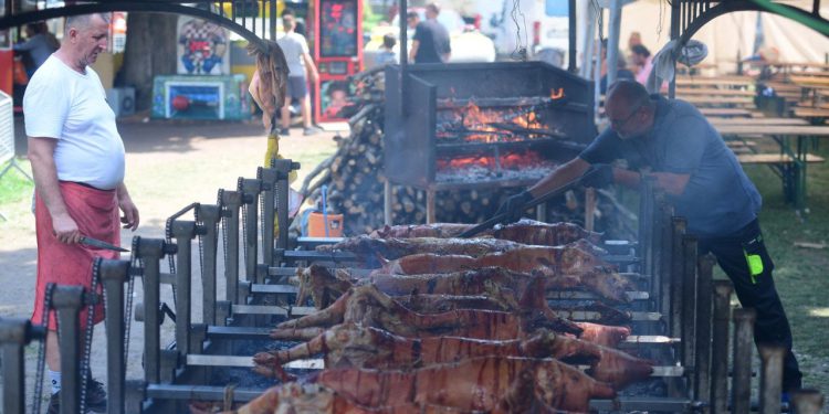 Slobodna Dalmacija – U Sinju se zavrtilo stotine odojaka i janjaca, evo pošto kg, a ne čeka se samo za meso u redovima. Ugostitelji grintaju