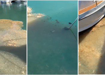 Slobodna Dalmacija – VIDEO Vijećnik objavio šokantnu snimku grozote u blizini Splita! Nije za one slabog želuca: ‘Rijeka g*vana utječe…’