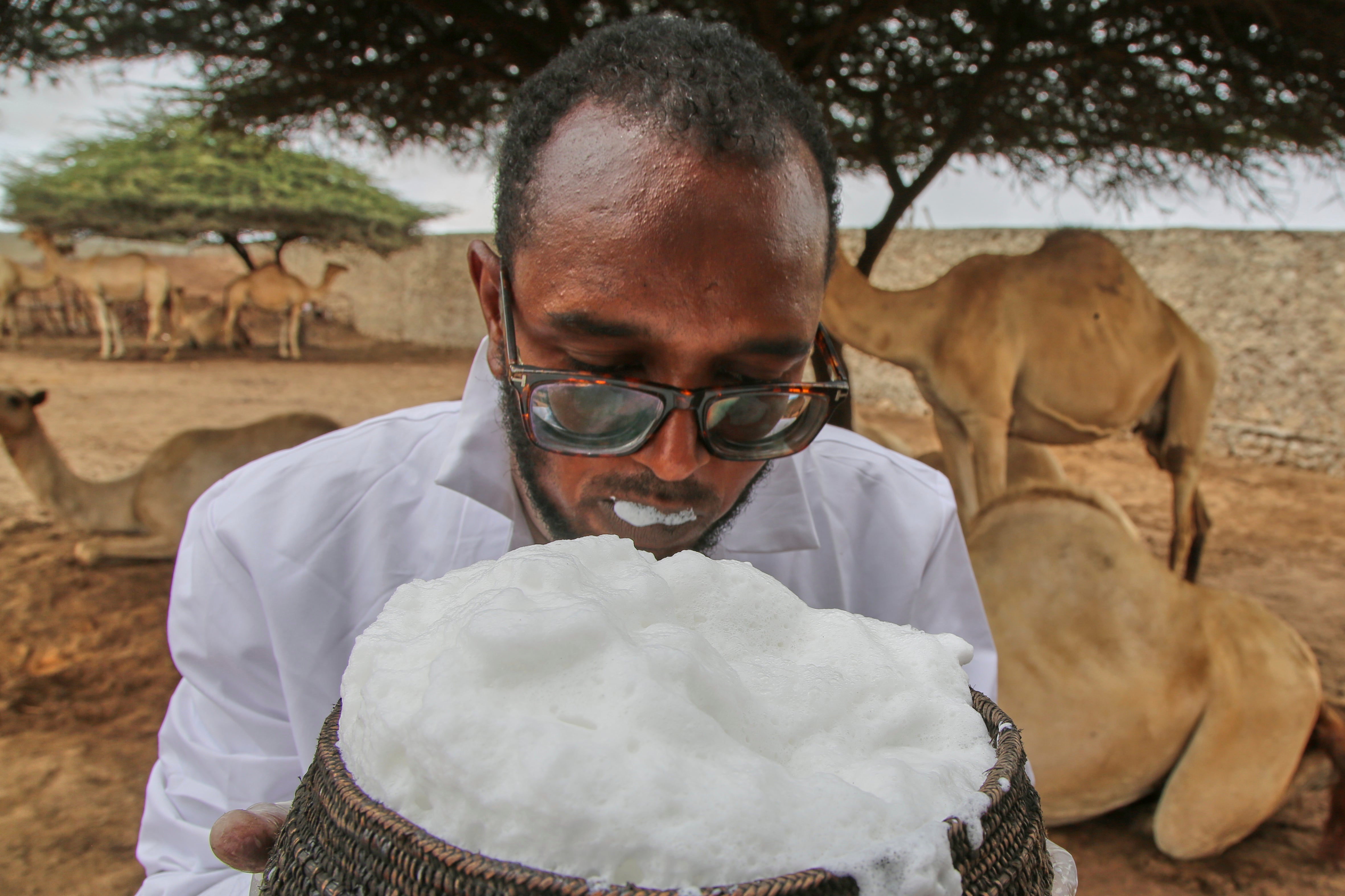 Abdirisak Mire Hashi, veterinar i menadžer farme, pije iz šalice ispunjene mlijekom od kamile u farmi bedera deve na periferiji glavnog grada Mogadishua, Somalija, srijeda, 18. lipnja 2025. (AP Photo/Farah Abdi Warsameh)