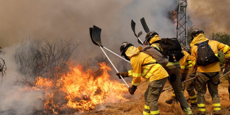 Španjolska dodaje još 500 vojnika za borbu protiv požara dok se zemlja peče pod proširenim toplinskim valovima