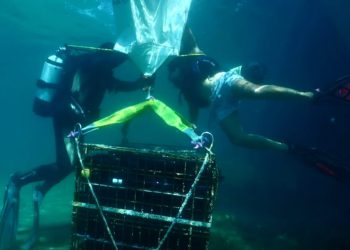 TRAGEDIJA U IKI Poginuo riječki ronilac koji je trebao vaditi kaveze s vinom iz ikarske vruhe