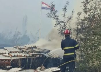 Strava nedaleko Dubrovnika: Čovjeku u požaru izgorjelo stado koza, automobil i pas