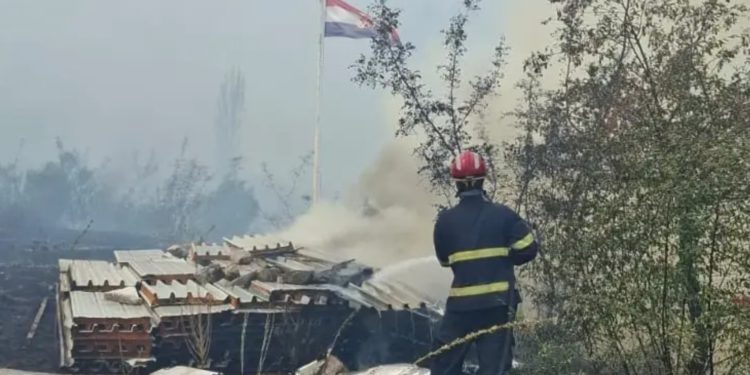 Strava nedaleko Dubrovnika: Čovjeku u požaru izgorjelo stado koza, automobil i pas