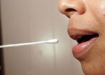 Sudac nagrada Vegas Man Skrbništvo nad njegovim bratom za kojeg vjeruje da bi mogao biti i njegov sin