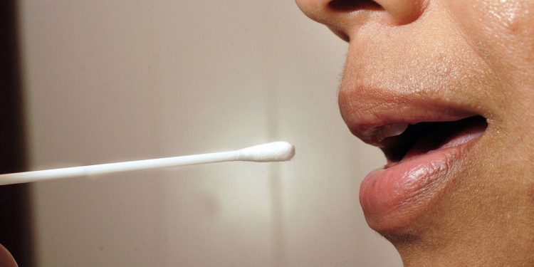 Sudac nagrada Vegas Man Skrbništvo nad njegovim bratom za kojeg vjeruje da bi mogao biti i njegov sin