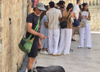 Svi su ih gledali! Mladić na Stradunu prošetao neobičnog ljubimca na povodcu