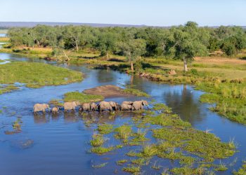 The struggle to protect wildlife around the world as Trump’s aid cuts start to bite