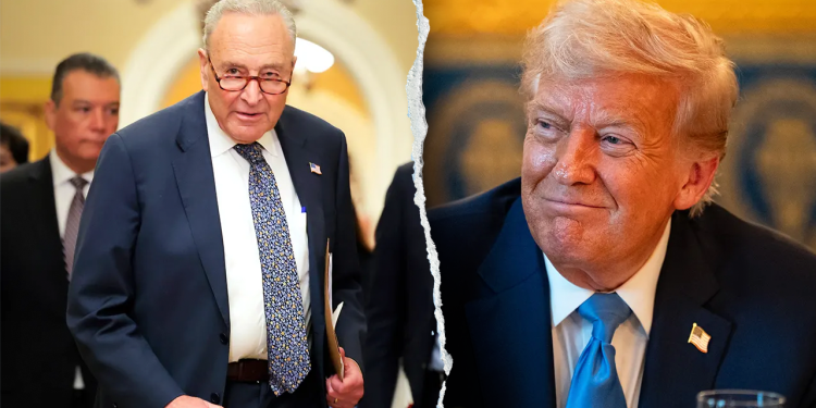 Trump optužuje demokrate Senata da odgađaju svoje kandidate za novac