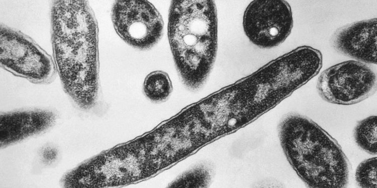 Tužbe započinju nakon što legionari izbijaju suze kroz New York City: “To je potpuno spriječivo”