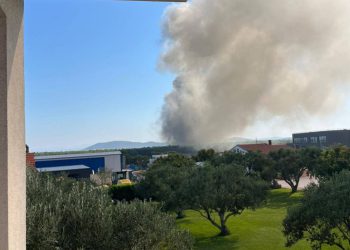 U Dalmaciji planula farma peradi