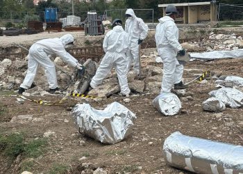 U mnogim slučajevima one se uklanjaju bez ikakvog nadzora, no ne i sad