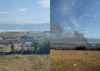 Ugašen požar u rezervatu ptica Kolanjsko Blato