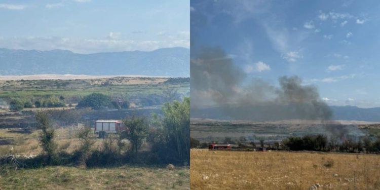 Ugašen požar u rezervatu ptica Kolanjsko Blato