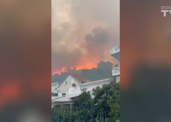 VELIKI POŽAR KOD KRILA JASENICE Gasi ga 150 vatrogasaca