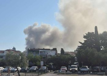 Vatrena stihija u Dalmaciji: U plamenu nestalo 18 tisuća komada peradi