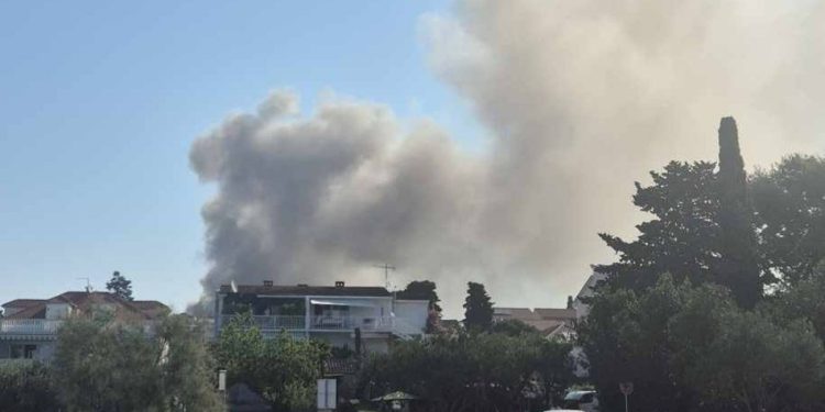 Vatrena stihija u Dalmaciji: U plamenu nestalo 18 tisuća komada peradi