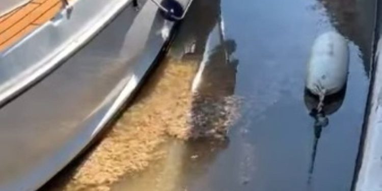 Vijećnik upozorio na ekološki problem u Trogiru: “Rijeka govana ulijeva se u Fošu”