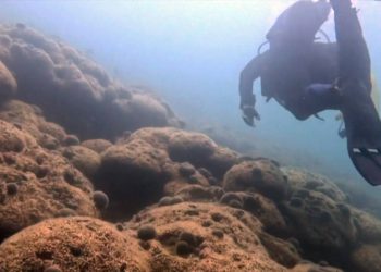 ŽRTVA KLIMATSKIH PROMJENA Umire najveći koraljni greben na Sredozemlju, onaj u Velikom mljetskom jezeru