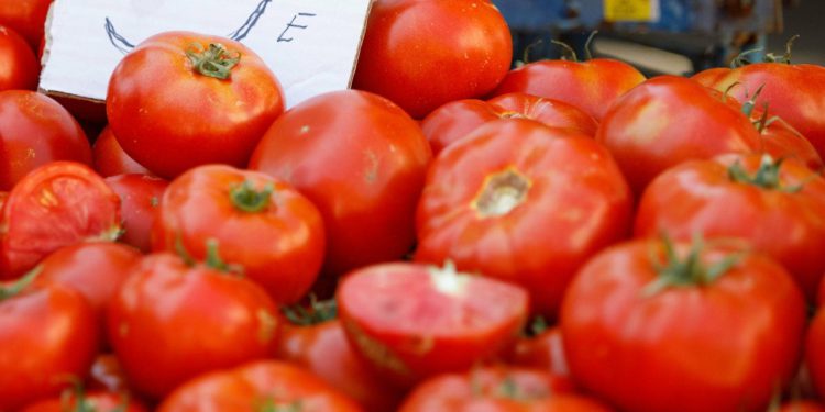 Zadarski – Rajčice skuplje od mesa, a krumpir