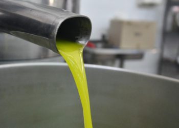 Zašto je naše maslinovo ulje najskuplje u Europi? Stručnjak: “Kupite malo, ali kvalitetno. Loše ulje može biti opasno”