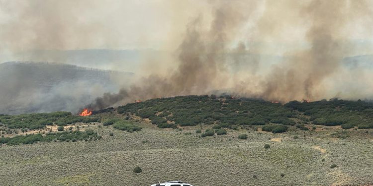 Zatvor je evakuiran kao Colorado Wildfire postaje jedan od najvećih u državnoj povijesti