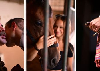 Zavirili smo u štale alkarske ergele pred početak Alke, pogledajte kako se pripremaju alkari i konji