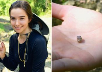 Žena je u parku Arkansas vidjela ‘Spiderweb’ i odlučila ga udariti. Bio je to stvarno dijamant od 27.000 dolara