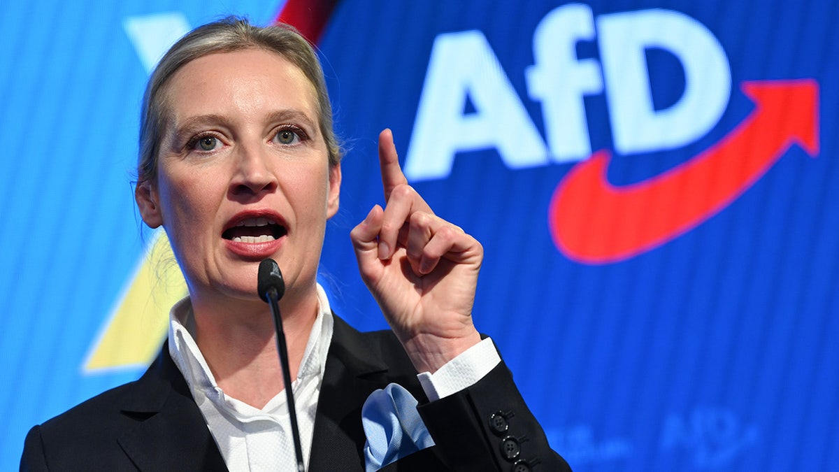 Alice Weidel Govore