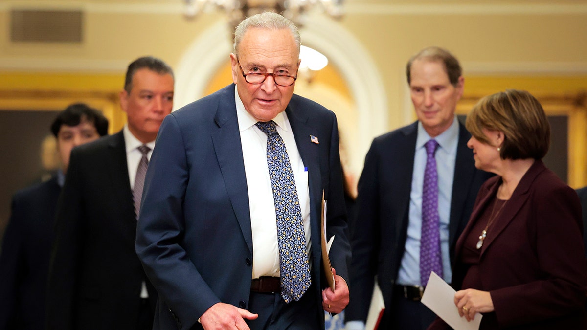 Vođa senatskih manjina Chuck Schumer (D-NY) hoda da govori na konferenciji za novinare nakon ručka za demokratsku politiku u Senatu u američkom Kapitolu 17. lipnja 2025. u Washingtonu.