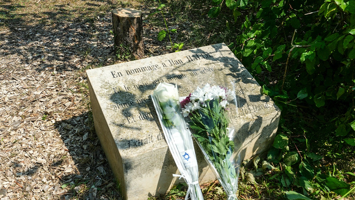 Cvjetovi smješteni na blizu spomen -stabla koje je bilo izrezano