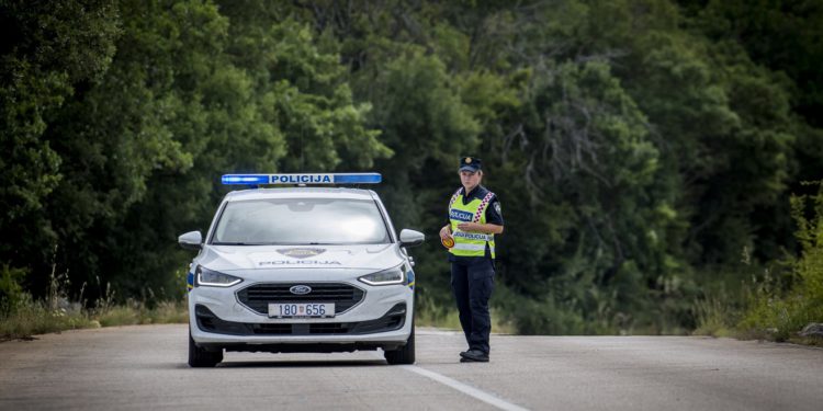 Strašna tragedija u Istri: Drvo palo na dijete, nije mu bilo spasa