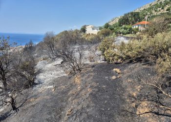 DALMACIJA DANAS NA LICU MJESTA Vatrena stihija kod Jesenica obuzdana: Kuće spašene, vatrogasci u pripravnosti