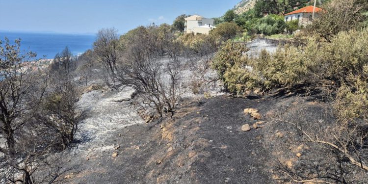 DALMACIJA DANAS NA LICU MJESTA Vatrena stihija kod Jesenica obuzdana: Kuće spašene, vatrogasci u pripravnosti