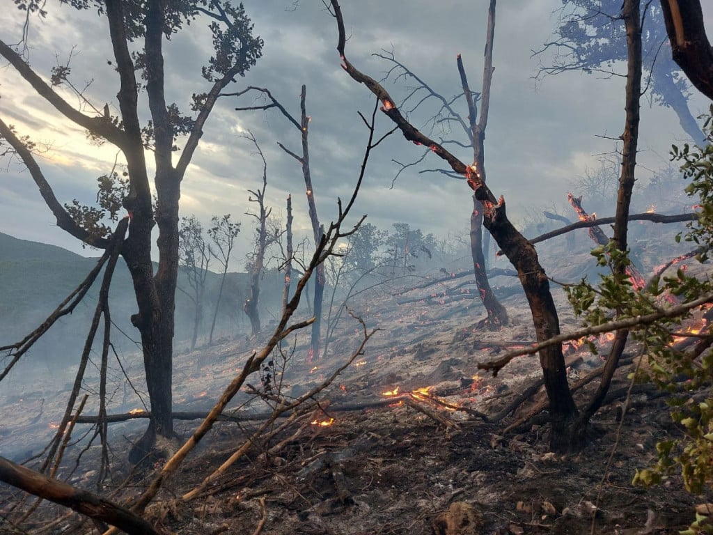 požar Široki Brijeg