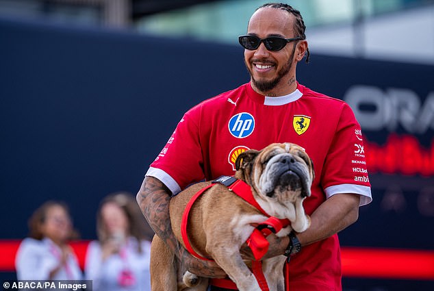 Roscoe je pratio Hamiltona na krugu F1 i izgradio ogromnu fanbase