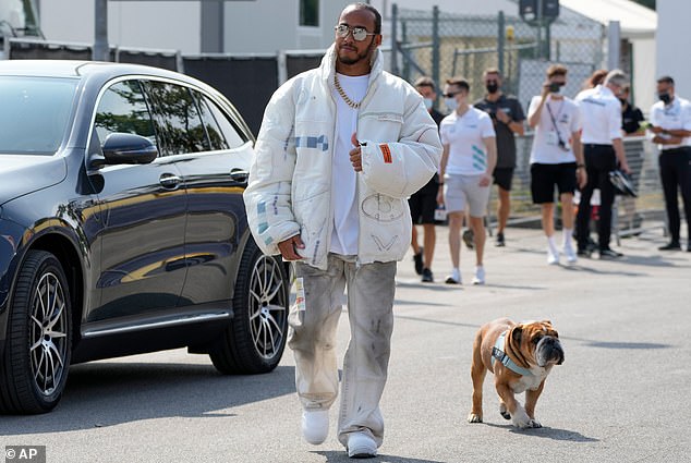 Preko 1,4 milijuna ljudi slijedilo je Instagram račun posvećen Hamiltonovom buldogu