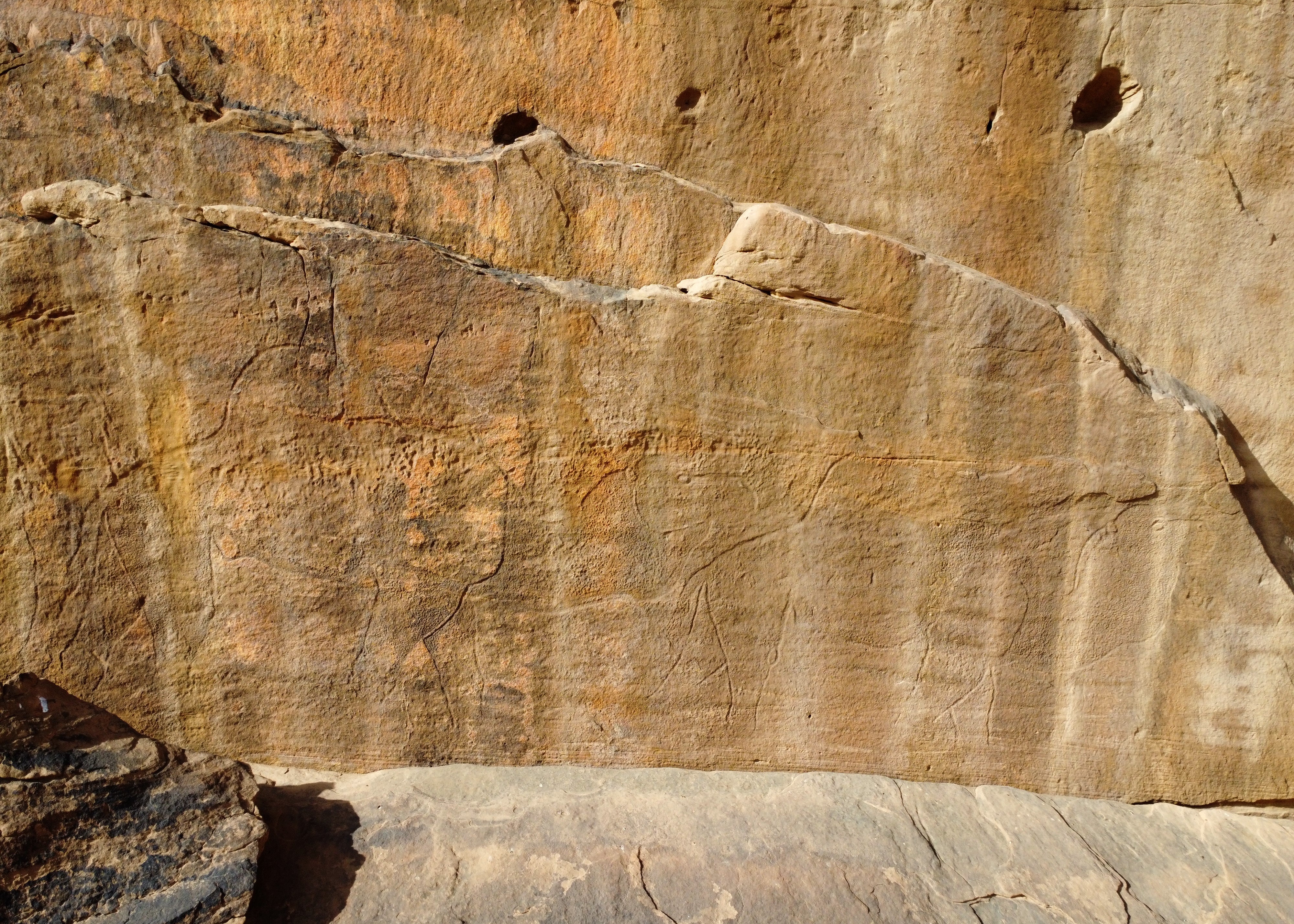 Maria Guagnin, arheologinja s Geoantropologije Max Planck -a u Njemačkoj, rekla je da ljudi tisućama godina stvaraju rock umjetnost u Saudijskoj Arabiji