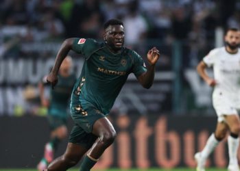 Boniface i lude fraze na kravama za piće i Zemlju poput mrkve