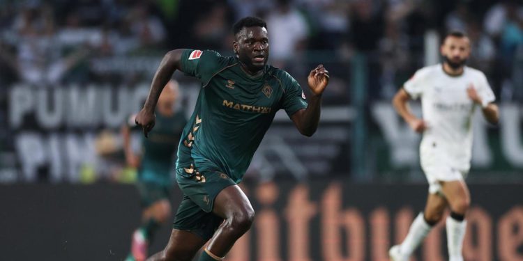 Boniface i lude fraze na kravama za piće i Zemlju poput mrkve