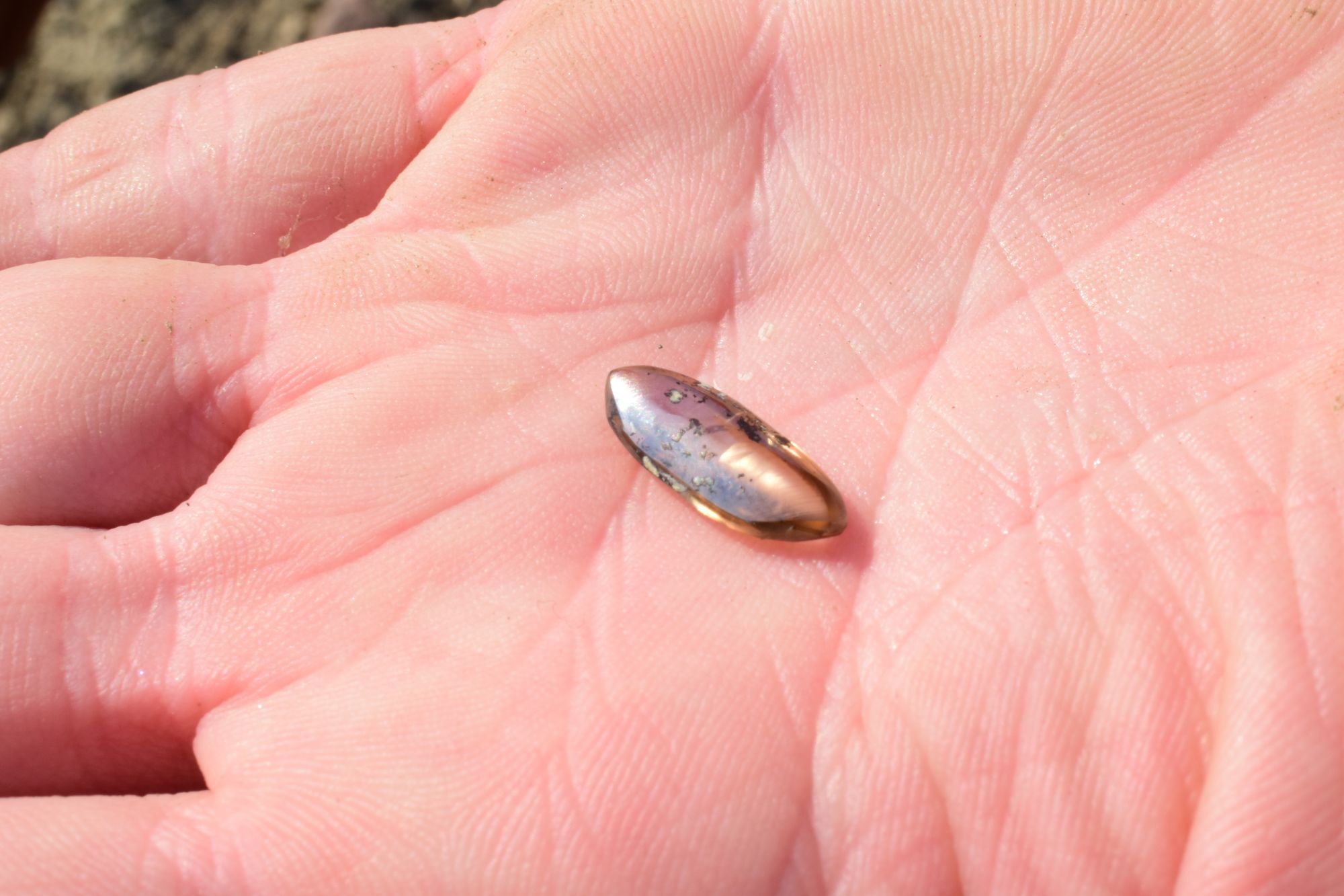 Obitelj koja posjećuje državni park Arkansas otkrila je gotovo tri karat dijamanta u vrijednosti od tisuća dolara