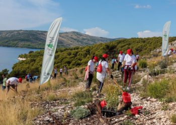 FOTO I VIDEO 200 volontera pošumljavalo požarište u Medenoj kraj Trogira u novoj akciji Boranke