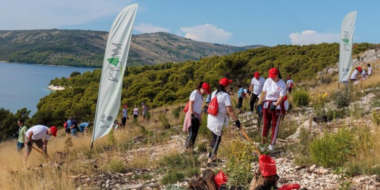 FOTO I VIDEO 200 volontera pošumljavalo požarište u Medenoj kraj Trogira u novoj akciji Boranke