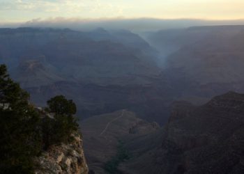 Grand Canyon North Rim: Područja nacionalnog parka za ponovno otvaranje mjeseci nakon razornih požara