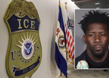 Ilegalni vanzemaljac registriran kao demokratski birač u plavoj državi