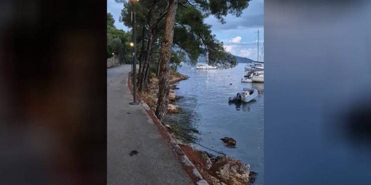 Kad kapetaniju boli ona stvar, zašto bi se oni brinuli?