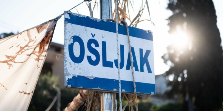 Krivi su Ministarstvo i Općina, a postoji jednostavno rješenje za problem sa stihijskim, bezobzirnim i nelegalnim prijevozom turista