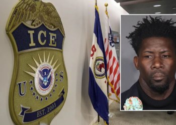 Nadzornik uhićenja leda koji je godinama ilegalno bio ilegalno